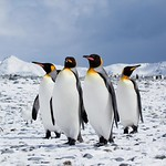 SELinux